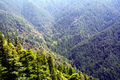 Shimla-7.jpg