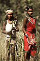Gond-Tribes.jpg