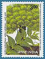 1998-Neem stamp.jpg