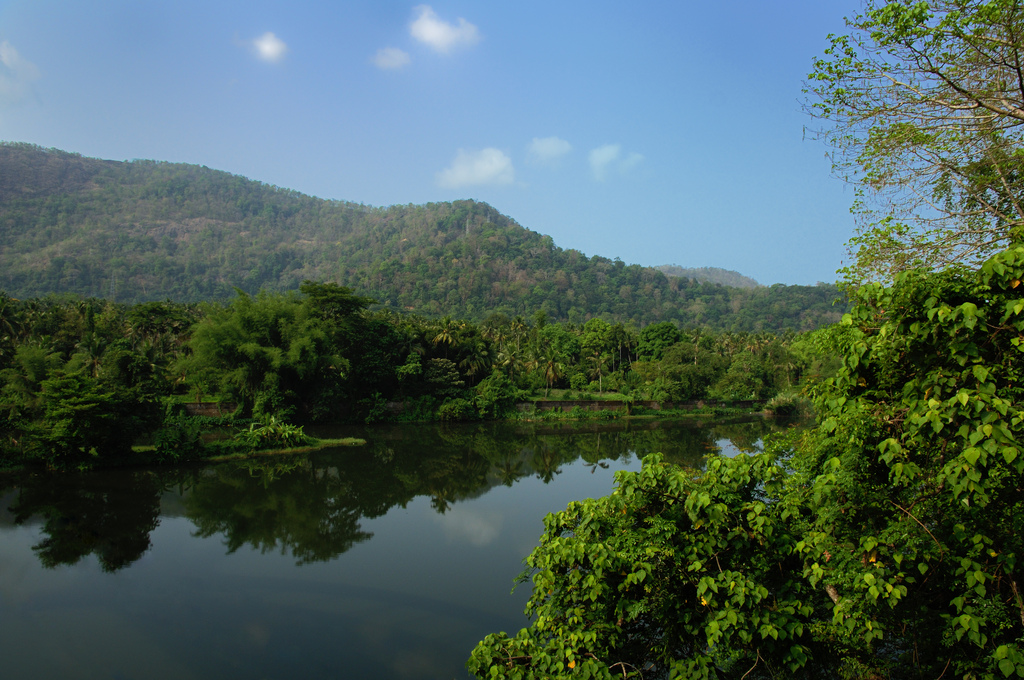 River Periyar