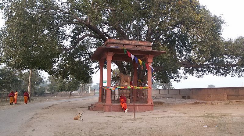 चित्र:Sankhisa3.jpg