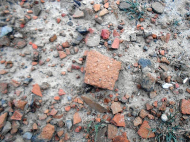 चित्र:Tusharan Vihar Pratapgarh.jpg
