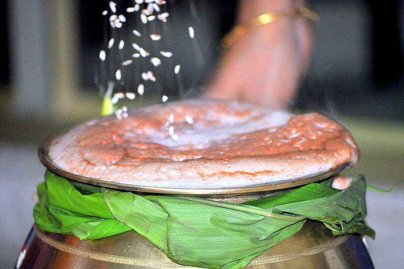 चित्र:Pongal-04.jpg