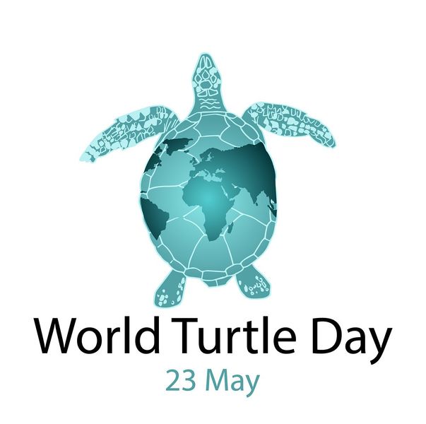 चित्र:World-Turtule-Day.jpg