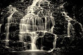 Elephant-Falls-Shillong.jpg