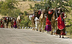 Nomads-Gujarat-2.jpg