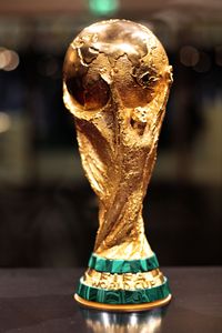 विश्व कप फ़ुटबॉल 2002