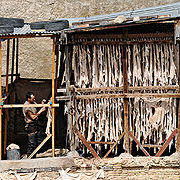 Leather-Factory-2.jpg