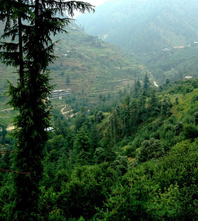 चित्र:Kotkhai-Velly.jpg