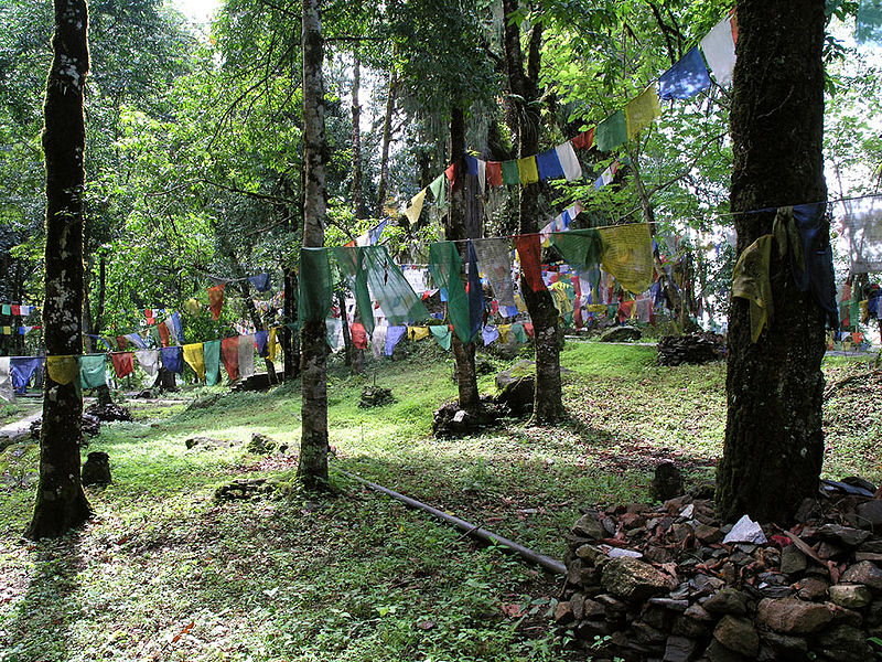 चित्र:Prayer-flags-at-Dubdi-Monastery.jpg