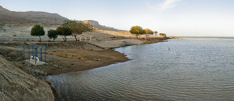 चित्र:Dead-Sea-2.jpg