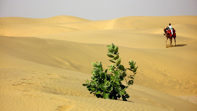 चित्र:Jaisalmer-Desert.jpg