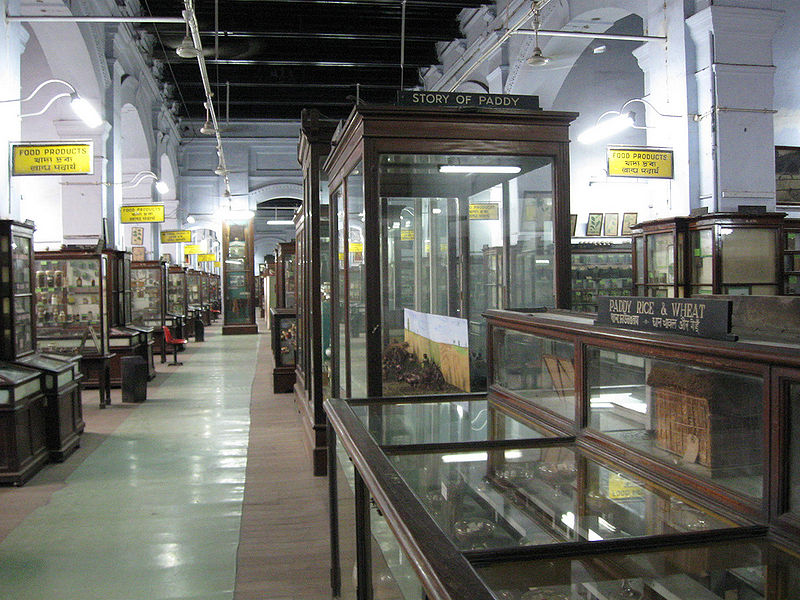 चित्र:National-Museum-Kolkata.jpg