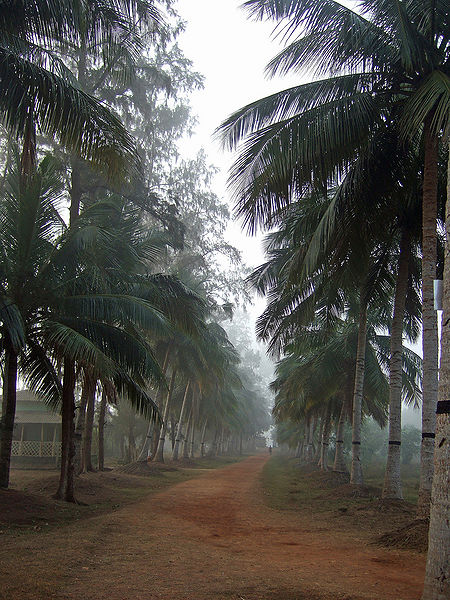 चित्र:Bhitarkanika-National-Park-3.jpg