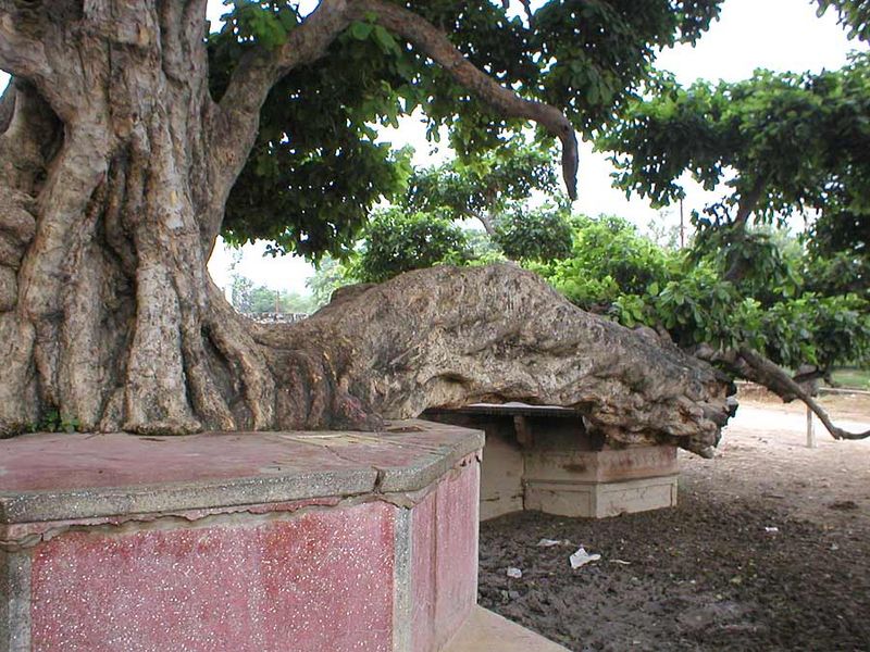 चित्र:Kaliya-Ghat-Vrindavan.jpg