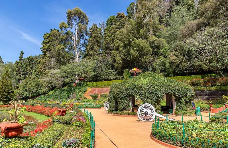 चित्र:Government-Botanical-Garden-Ooty.jpg