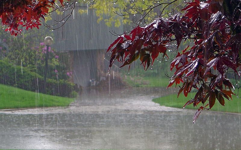 चित्र:Monsoon-Rain-1.jpg
