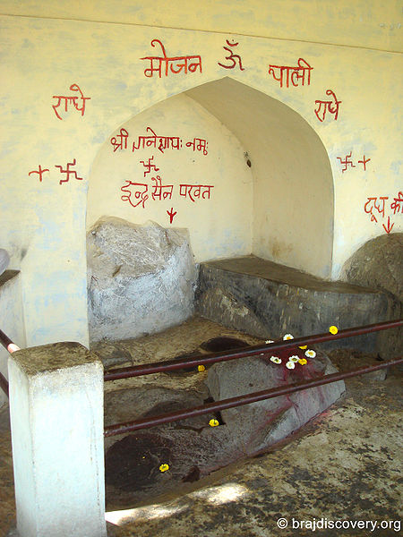 चित्र:Bhojan-Thali-Kamyavan-Kama-1.jpg