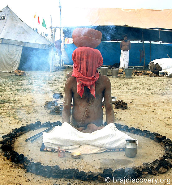 चित्र:Kumbh Mela Vrindavan Mathura 2.jpg