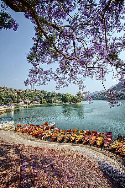 चित्र:Bhimtal-Lake.jpg