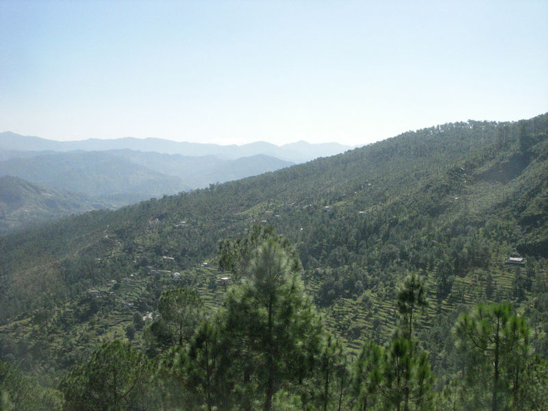 चित्र:Almora-5.jpg