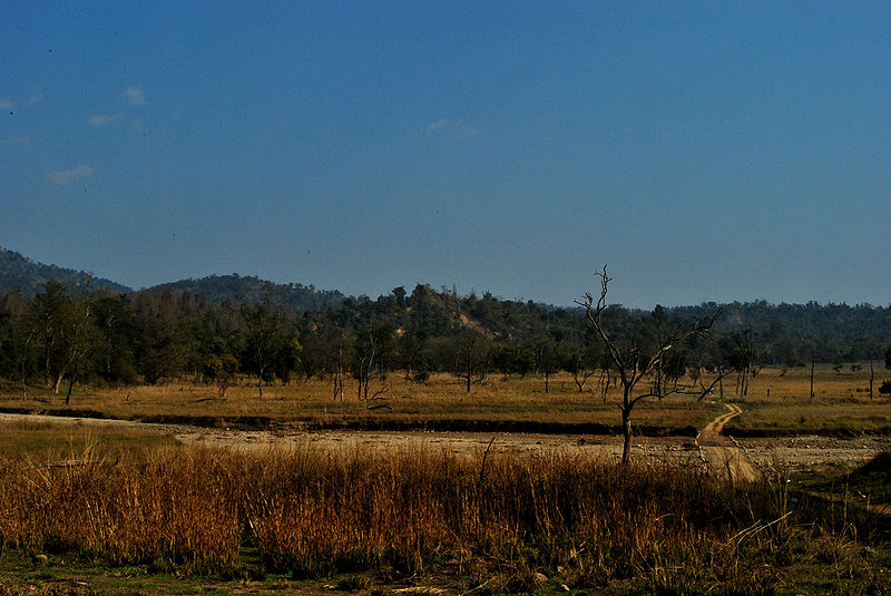 चित्र:Rajaji-National-Park.jpg