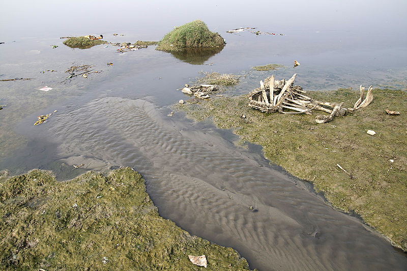 चित्र:Water-Pollution-1.jpg