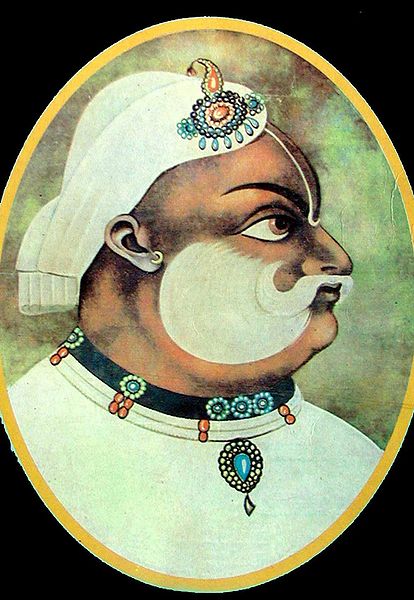 चित्र:Maharaja-Surajmal-1.jpg