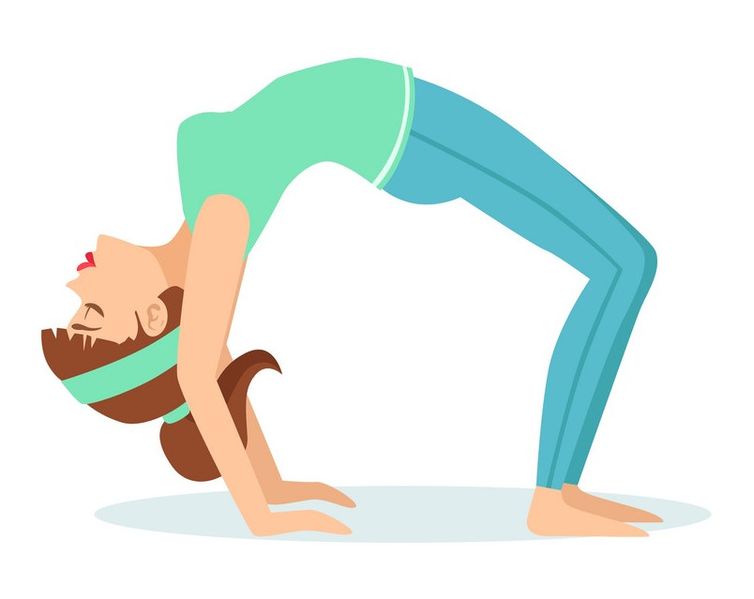 चित्र:Chakrasana.jpg