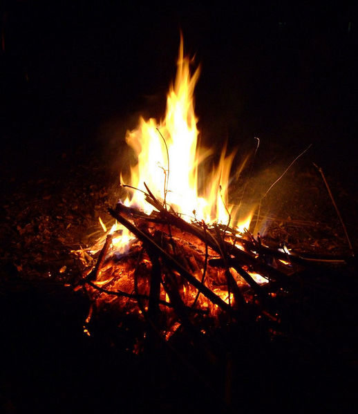चित्र:Fire-2.jpg