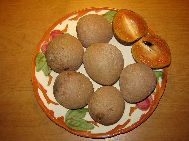 चित्र:Chiku.jpg