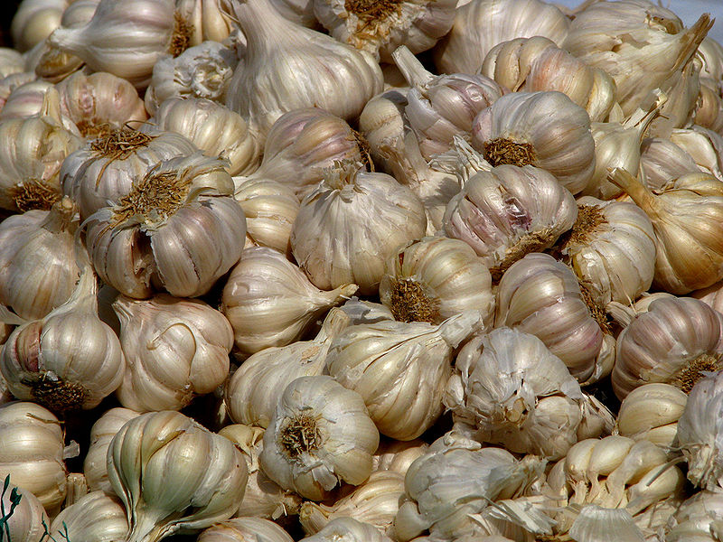 चित्र:Garlic.jpg