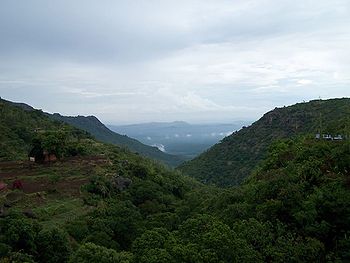 नीलगिरि पहाड़ियाँ, तमिलनाडु