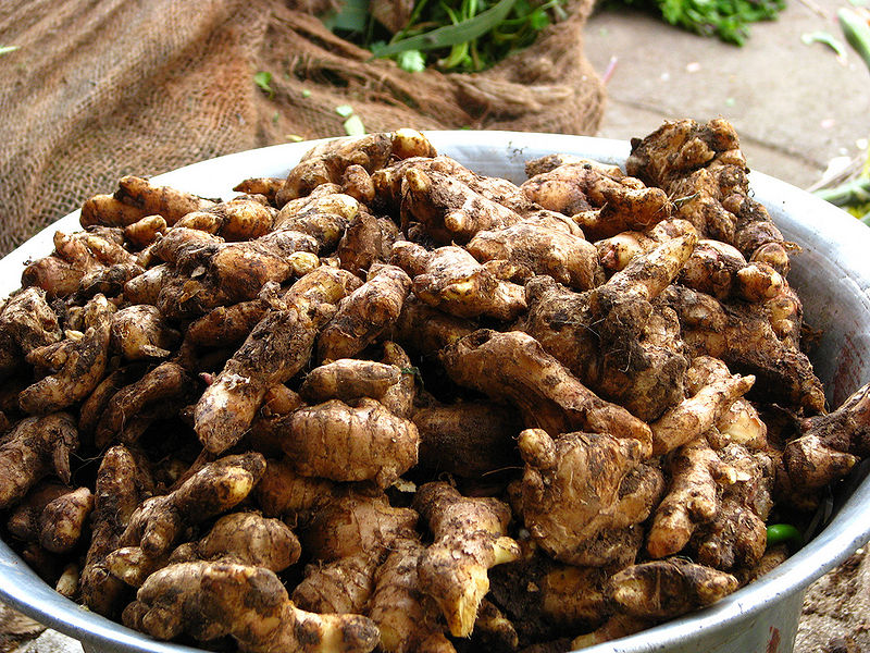 चित्र:Ginger.jpg