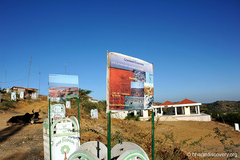 चित्र:Kutch-Desert-Wildlife-Sanctuary.jpg
