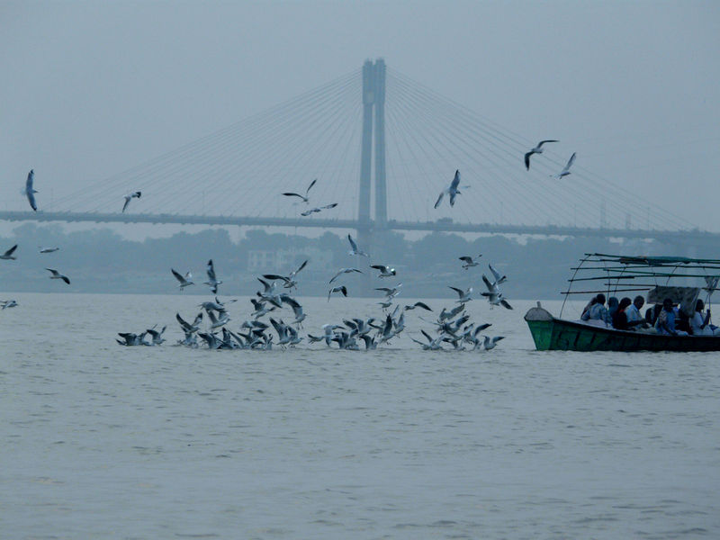 चित्र:Sangam-Allahbad-3.jpg
