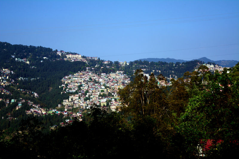 चित्र:Shimla-13.jpg