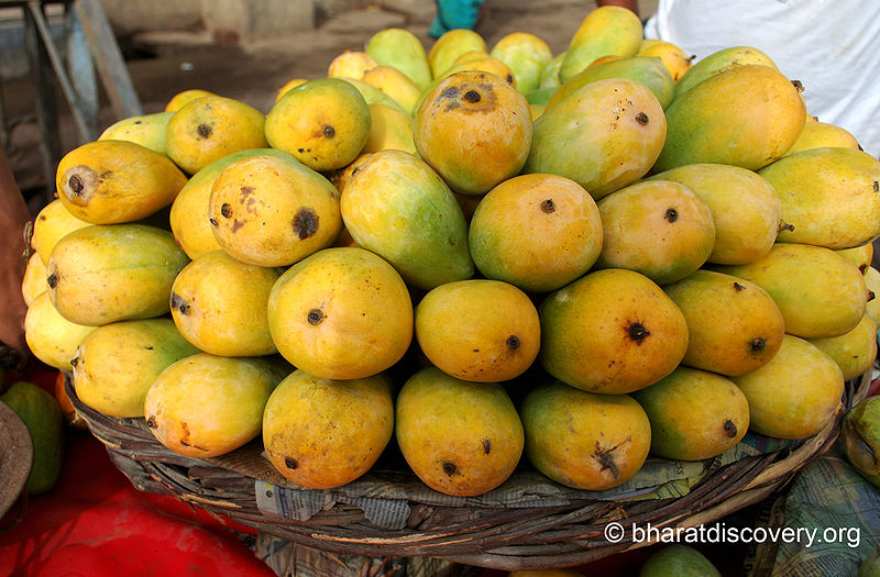 चित्र:Mango-2.jpg