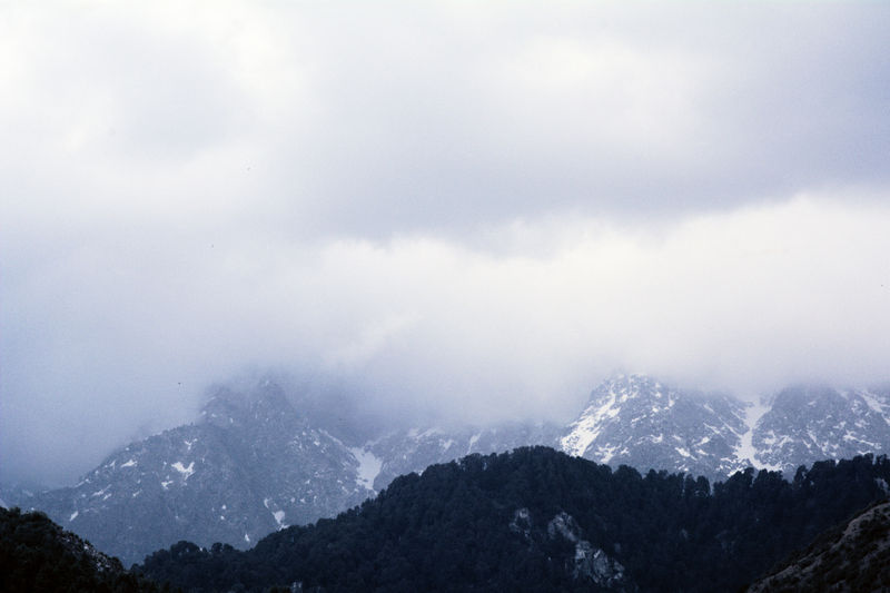 चित्र:Dharamsala-4.jpg