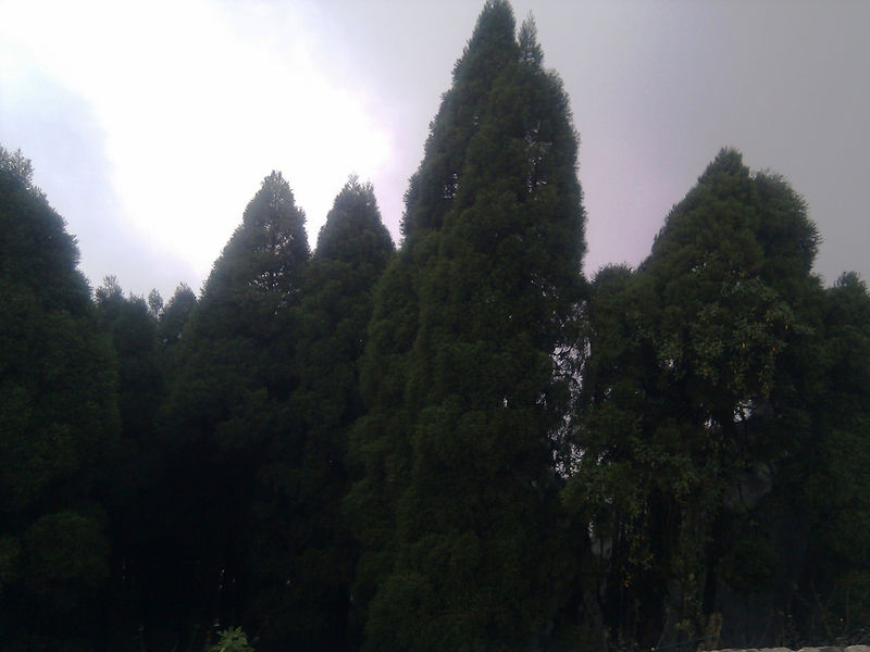 चित्र:Mirik-11.jpg