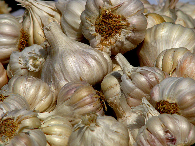 चित्र:Garlic-1.jpg