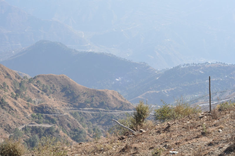 चित्र:Chail-4.jpg
