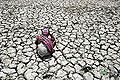 06:18, 17 फ़रवरी 2013 के संस्करण का थंबनेल संस्करण