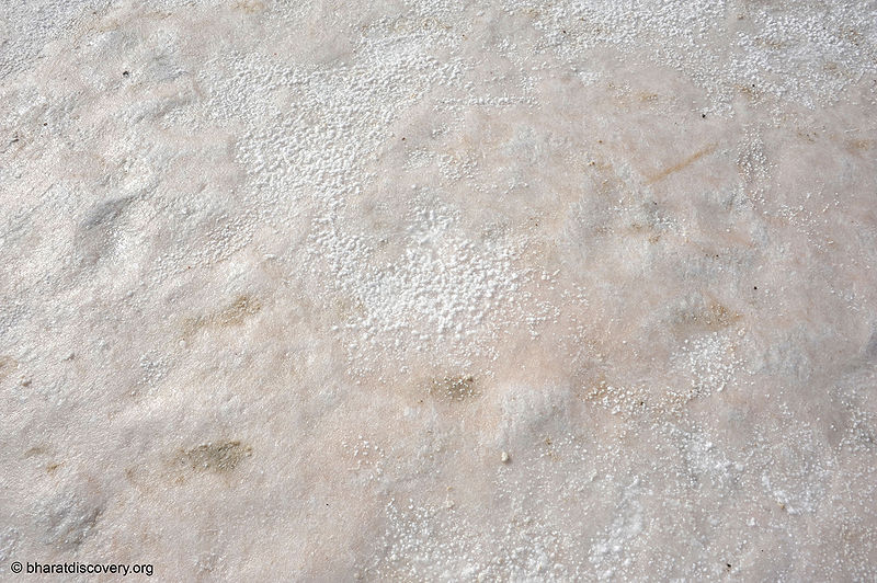 चित्र:Rann-Of-Kachchh-9.jpg
