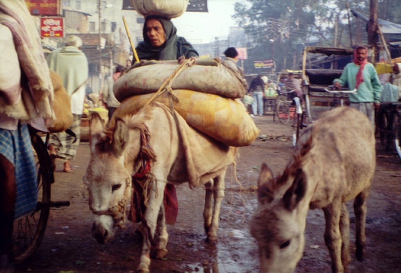 चित्र:Hardship-in-the-streets-Varanasi.jpg