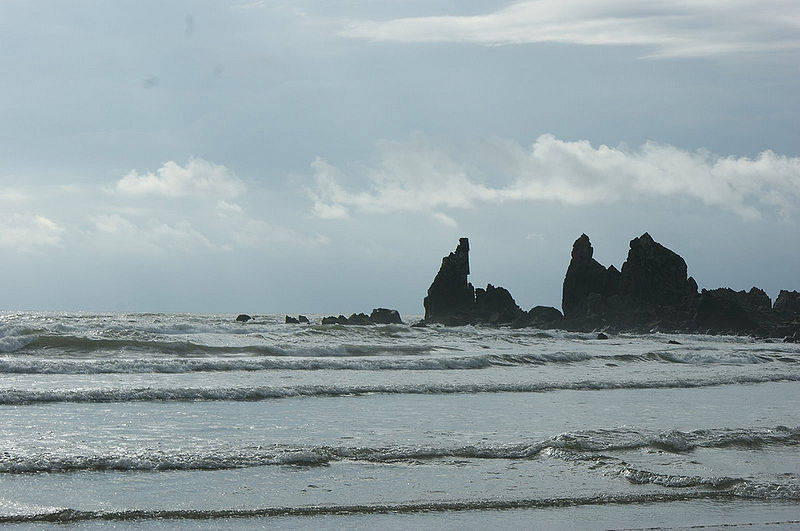 चित्र:Arambol-Beach.jpg