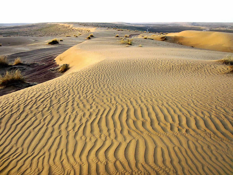 चित्र:Karakum-Desert.jpg