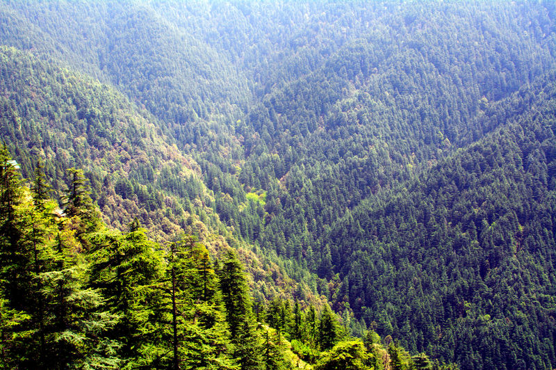 चित्र:Shimla-7.jpg