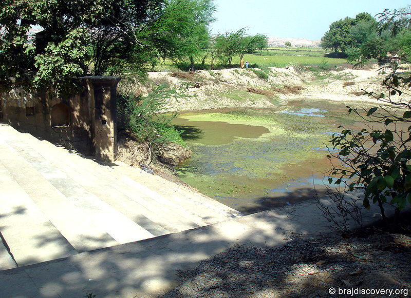 चित्र:Shree-Kund-Kamyavan-Kama-1.jpg