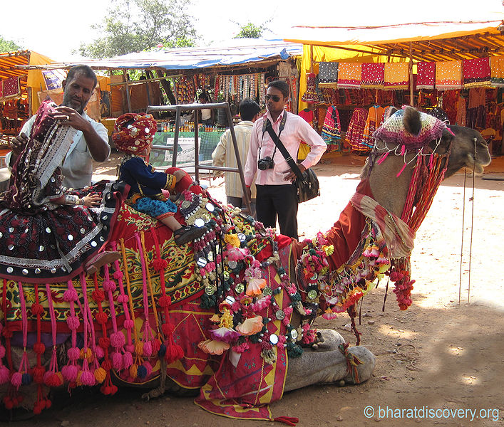 चित्र:Camel-Chittorgarh.jpg